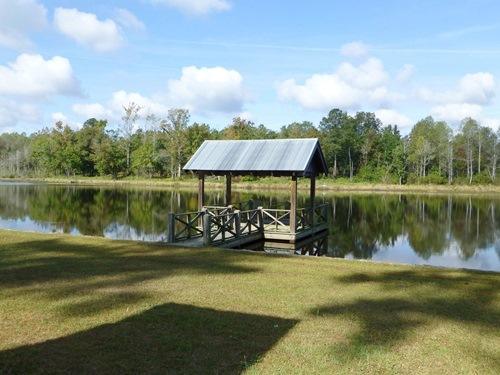 Willis Pond, Barnwell, South Carolina