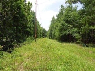 Clarendon County land