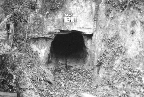 Dorn's Gold Mine