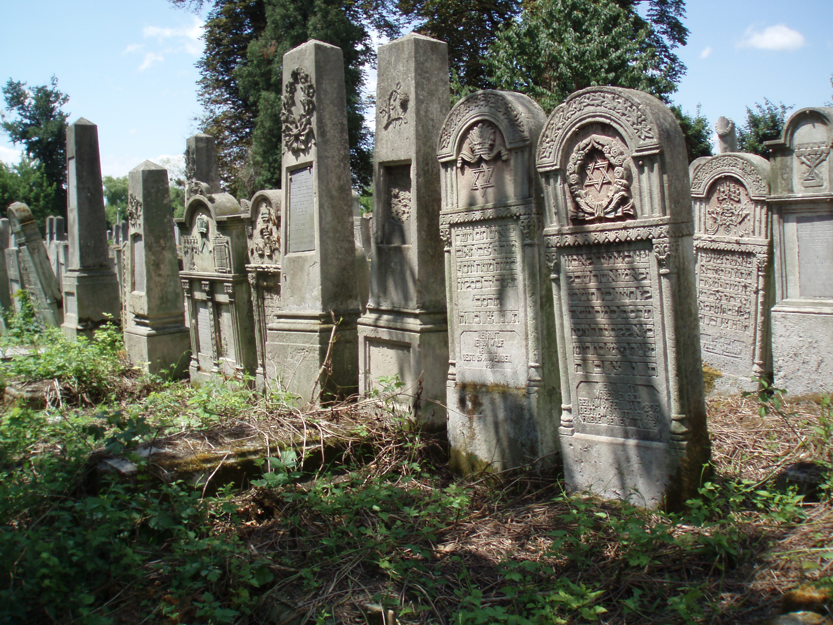 Jewish Cemetery in Charleston